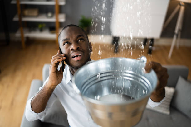 Best Flood damage cleanup  in Seal Beach, CA
