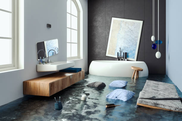 Best Carpet water damage restoration  in Seal Beach, CA