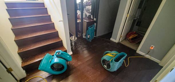 Best Fire Damage Restoration  in Seal Beach, CA