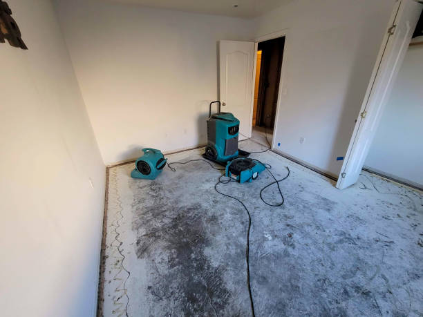 Best Mold removal after water damage  in Seal Beach, CA