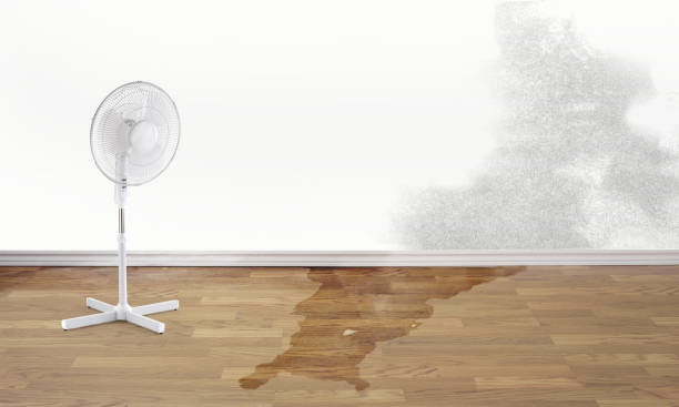 Best Basement water damage restoration  in Seal Beach, CA