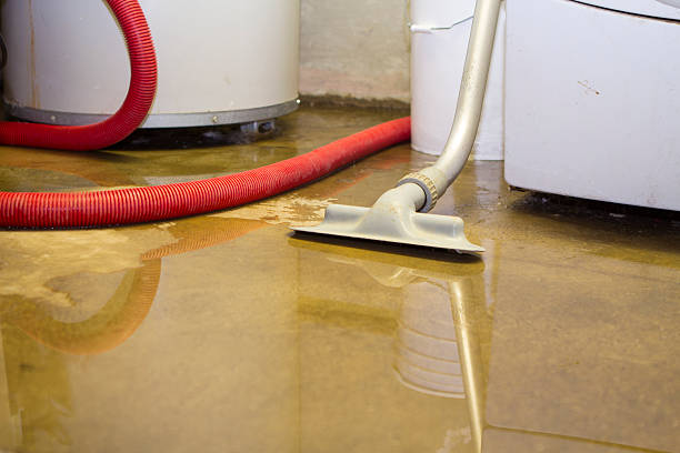 Best Water damage cleanup near me  in Seal Beach, CA
