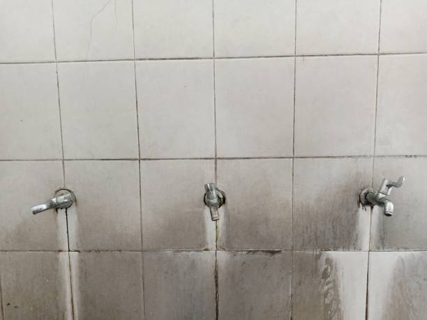 Best Flood restoration services  in Seal Beach, CA