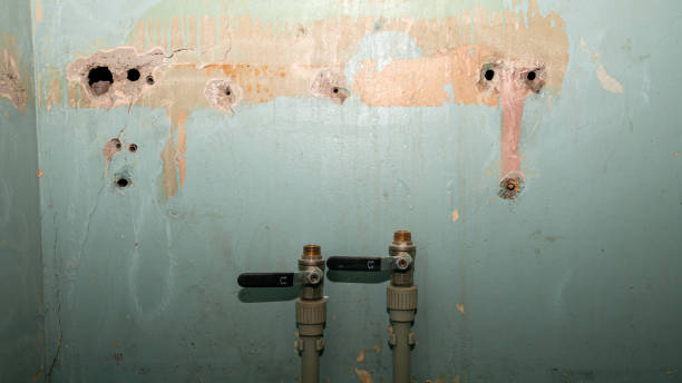 Best Flooded house restoration  in Seal Beach, CA