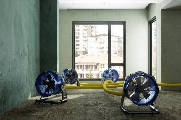 Best Emergency water damage restoration  in Seal Beach, CA