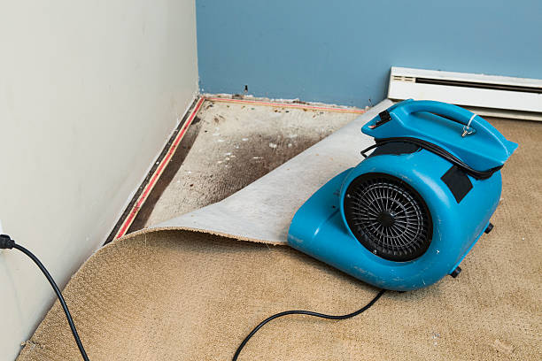 Best Water damage cleanup near me  in Seal Beach, CA